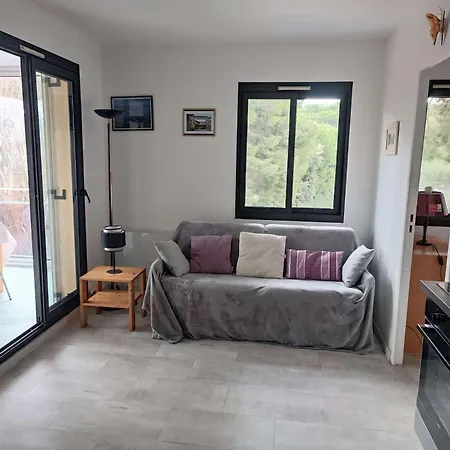 Grand Large - T3 Proche Dans Un Beau Domaine Avec Piscine Mae-1214 *